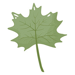 Simple pastel yellow marigold flower in flat style isolated on white background