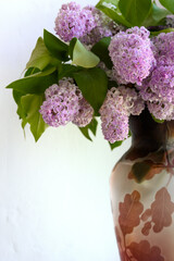 Lilac in brown vase on white background Close-up