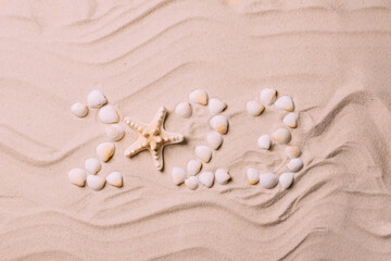 Naklejka na ściany i meble Symbolic numbers new year 2023 are made of seashells background of sand. tropical new year by sea