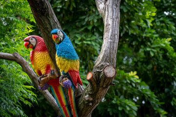Both Parrot standing on the Tree.