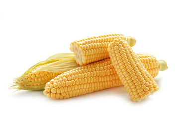 Fresh corn isolated on a white background.