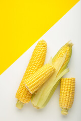 Fresh corn on cobs on white and yellow background.