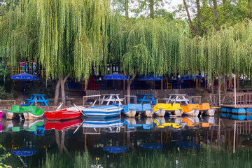 Obraz premium mall boats, paddle boats and picnic tables on the edge of the creek. Babylonian willow - Salix Babylonica trees in the background.
