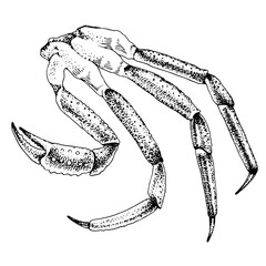 King crab legs. Sea delicacies  © Marina Gorskaya