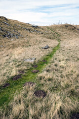 Wanderweg durch eine Graslandschaft im Herbst, Schweiz