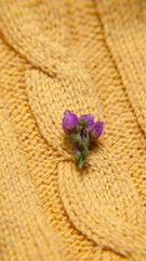 Florecillas fucsia marchitas sobre jersey de ochos de lana amarilla
