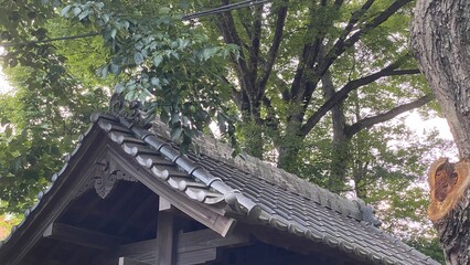 Street corner of old Japanese temple exterior, at Todai-mae downtown cityscape, July 27th, 2022 Tokyo Japan