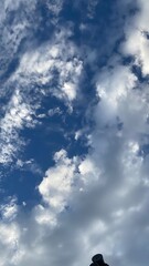 Beautiful deep blue and clouds contrast of Tokyo Sky, year 2022 July 27th, Todai-mae / Nezu Tokyo Japan
 