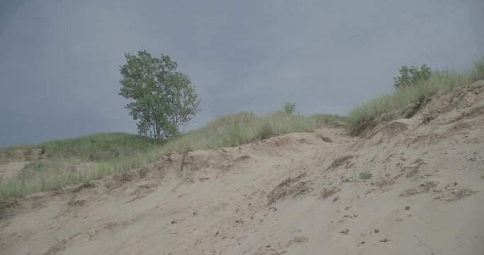 wide day exterior of Indiana sand dunes
