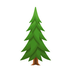 Pine Tree in cartoon style vector illustration isolated on white background. Green pine tree on a trunk. 