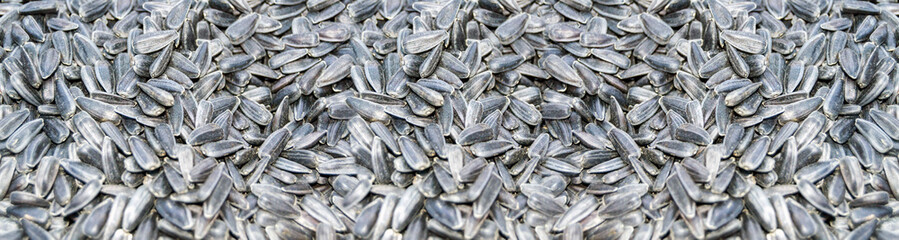 a lot of sunflower seeds. black seeds. Banner for insertion into site.