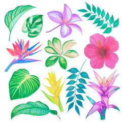 Set of hand drawn tropical flowers and leaves, floral illustration set