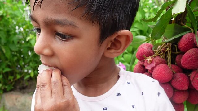 Asian child eats lychees plucked from a bundle in the garden. Baby boy eating fresh lychees. A baby boy and lychee fruits. Fruit-eating concepts. 4k video. 