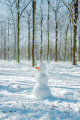 Funny snowman in park. Active outdoors leisure with family with children in winter.