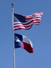 Flaggen USA und Texas