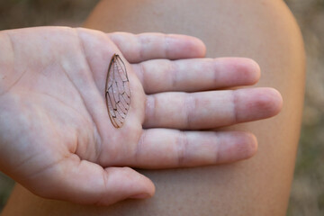 Adult leg and kid hand with a dragon fly wing which looks like a fairy wing