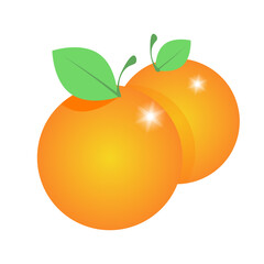 Two oranges next to each other with green leaves