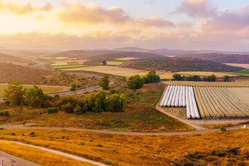 Sunrise view of countryside in the Shephelah region