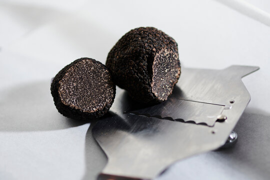 Black summer truffle