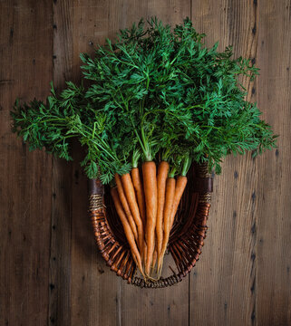 Young carrots in a wicker basket
