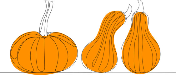 pumpkins orange drawing one continuous line vector