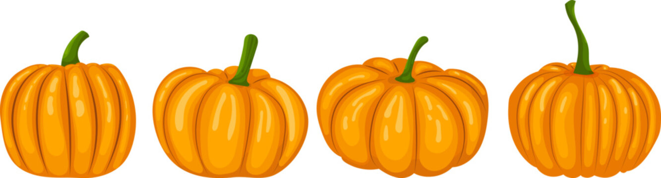 pumpkins in flat style, isolated, vector