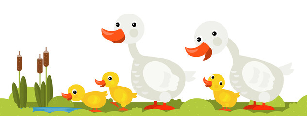 cartoon scene with goose family illustration