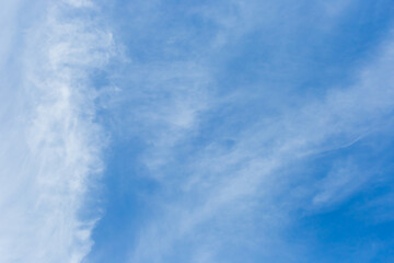 Cirrus white clouds blue sky background nature wind weather atmosphere