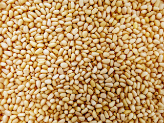 Background_scattered shelled pine nuts. Cedar fruits. gifts of nature. Healthy food, vitamins,...