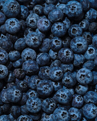 Blueberries Ultra High Resolution