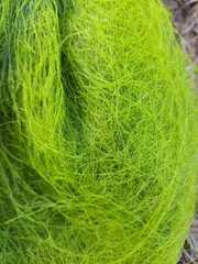 tennis ball close up