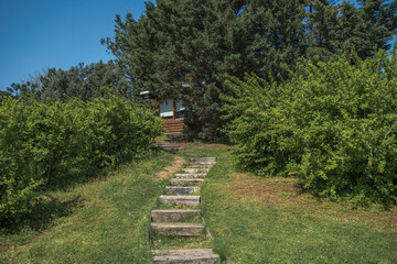 the stair  and walking path winding through a quiet and calm park.
