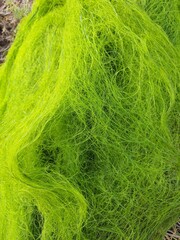 green fishing net