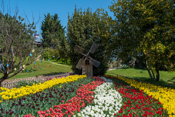 wooden decorative miniature windmill and Field of colorful tulips on sunny day, A beautiful landscaped garden of flowers. wishing tree branches and evil eye beads. 