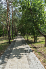 alley walk inside Square M. Zhusup in Pavlodar