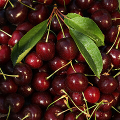 pattern background of fresh summer sweet cherries