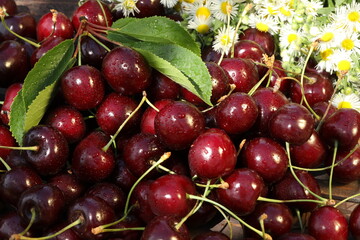 pattern background of fresh summer sweet cherries