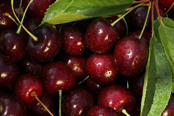 pattern background of fresh summer sweet cherries