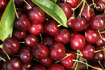 pattern background of fresh summer sweet cherries