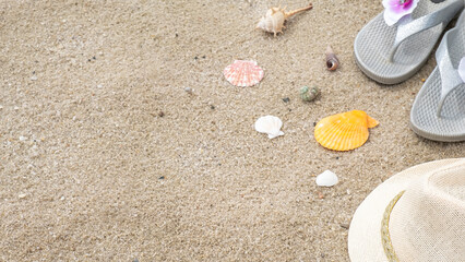 Fototapeta na wymiar Hat, flip-flops and seashells on a sand. Text space