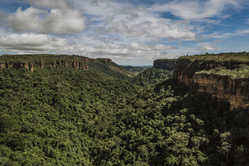 Fototapeta na wymiar drone view of the forest