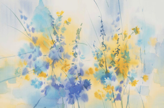 Blue and yellow meadow flowers watercolor background