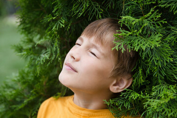 Relaxed preteen boy to stand in thuja branches breathing fresh air with green branches in background. Aromatherapy and Spa concept. ecology. Earth Day. climate change