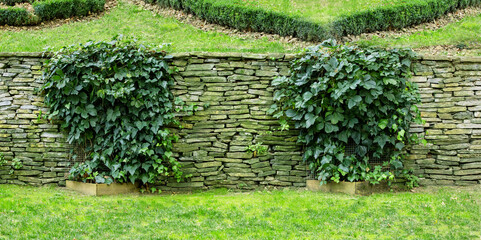 Landscaping with retaining walls and green bush in summer park. garden design concept.
