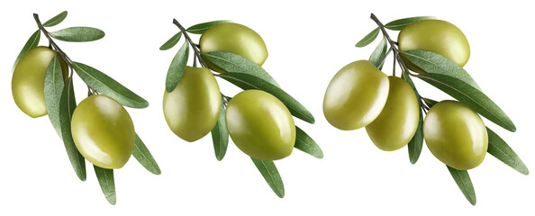 Collection of olive branches with two, three and four delicious green olives, isolated on white...