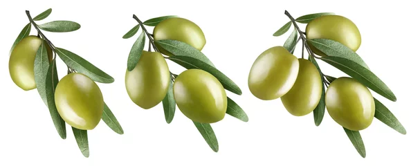 Gordijnen Collection of olive branches with two, three and four delicious green olives, isolated on white background © Yeti Studio