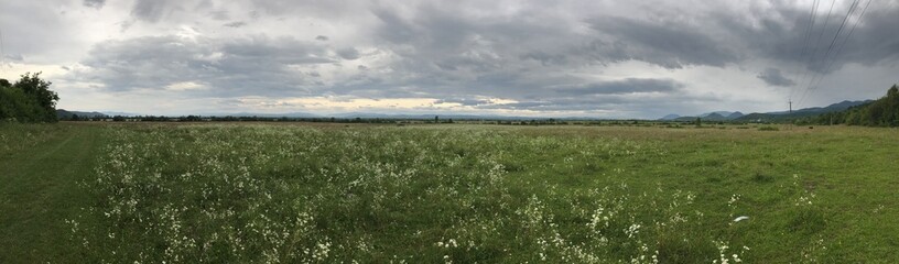 Fototapeta na wymiar Panoramic photo. Landscape with grass and clouds. Ukraine.