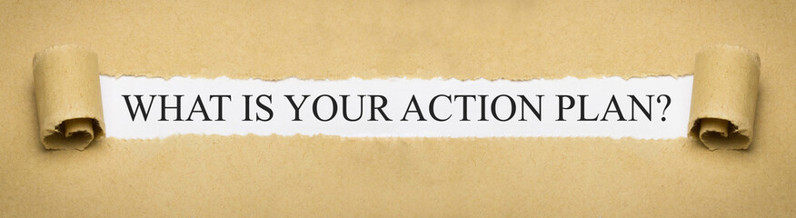 what is your action plan?