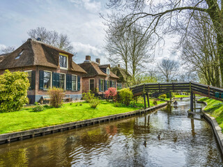 Fototapeta na wymiar Ducks and kayaks on t he canal in Giethoorn village, Netherlands