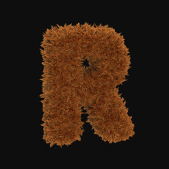 3d hair fur illustration of English letter 'R'